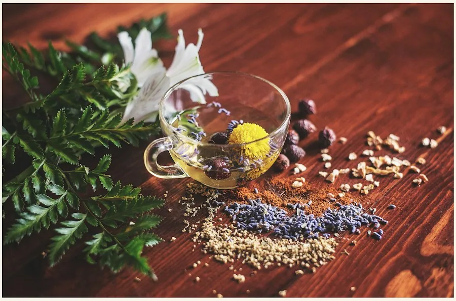 L'Herbier de France Thé premium